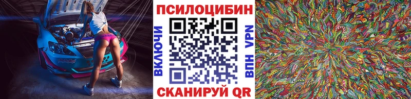 Псилоцибиновые грибы Psilocybe  Анжеро-Судженск 