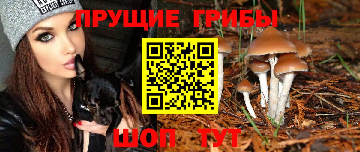 Псилоцибиновые грибы Psilocybine cubensis  Вход с VPN  Анжеро-Судженск 