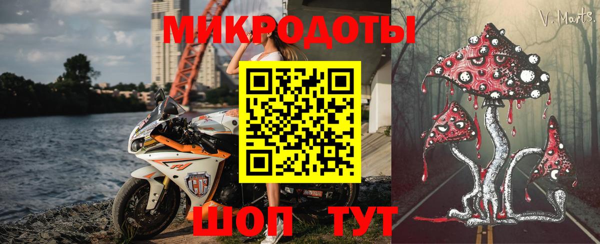 Псилоцибиновые грибы мицелий  Анжеро-Судженск 